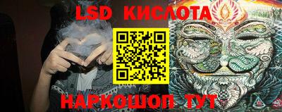 прущие грибы Абакан