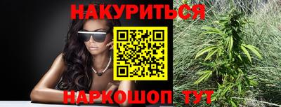 прущие грибы Абакан