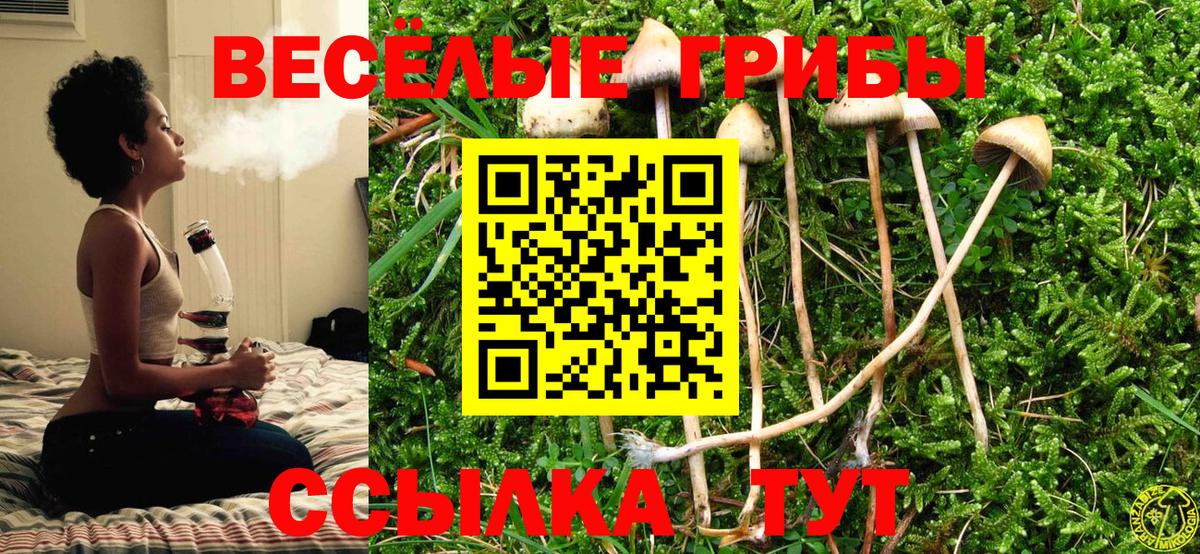 Галлюциногенные грибы прущие грибы  Вход с VPN  Абакан  Псилоцибиновые грибы MAGIC MUSHROOMS 
