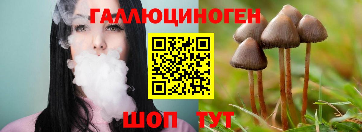 Галлюциногенные грибы ЛСД Абакан