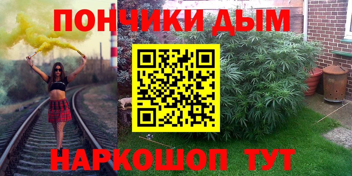 Бошки марихуана Amnesia Абакан